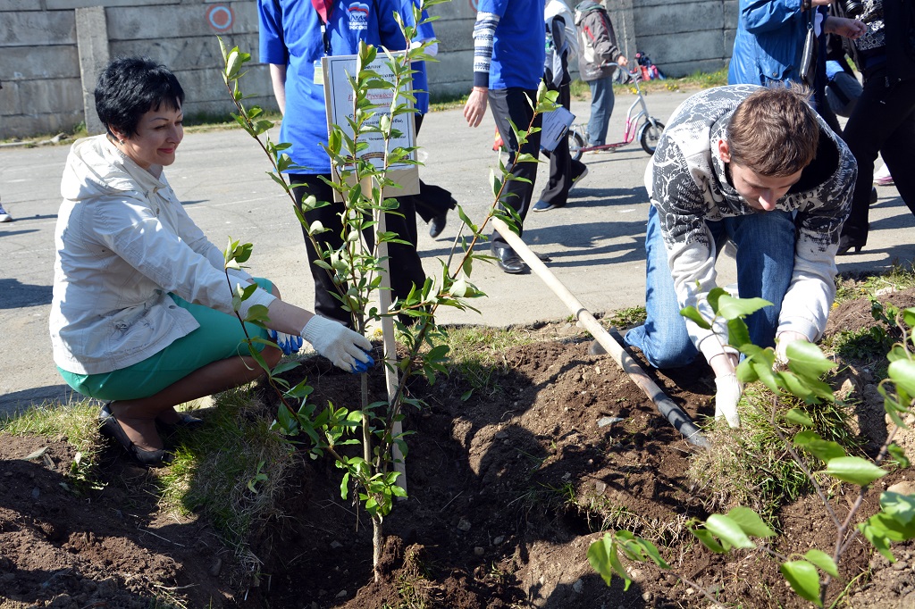 Лес Победы Пресс-служба Магаданской областной Думы