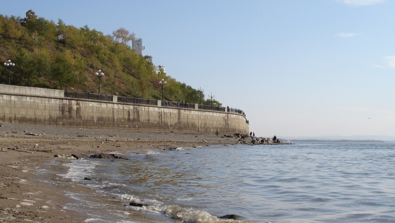 Повышение уровня воды в хабаровском Амуре некритично и наводнением не грозит  Гречанюк Виталий, PrimaMedia