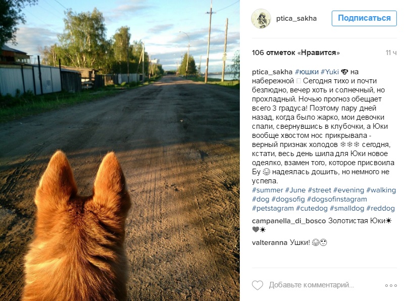 Инстаграм Ptica_sakha