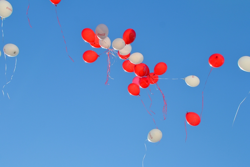 Праздник Нескородьева Карина, PrimaMedia