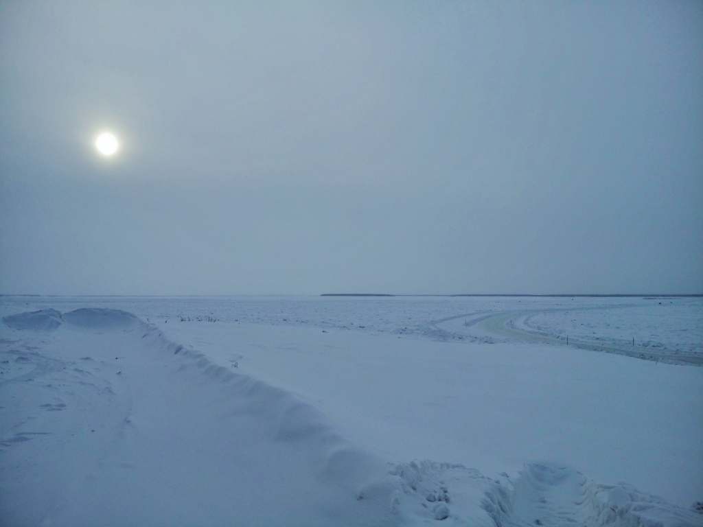 Войдут ли в Арктическую зону еще восемь районов Якутии станет известно к концу 2016 года Нюргуяна Иванова