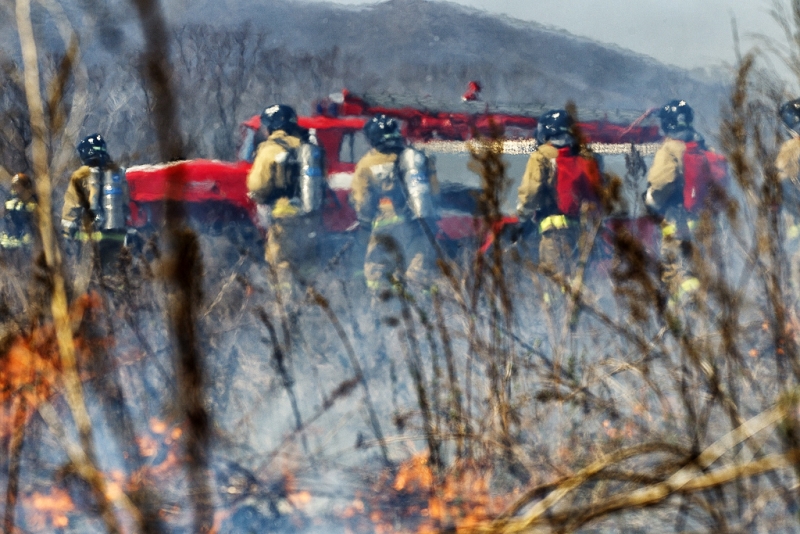 Добровольцам будут платить дровами Александр Хитров, РИА PrimaMedia