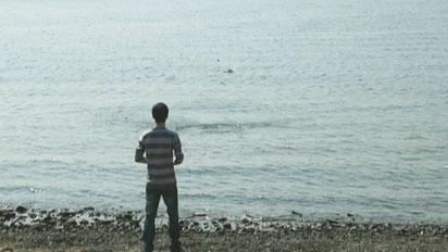"Лягушек" во Владивостоке бросали в море Prim. TV