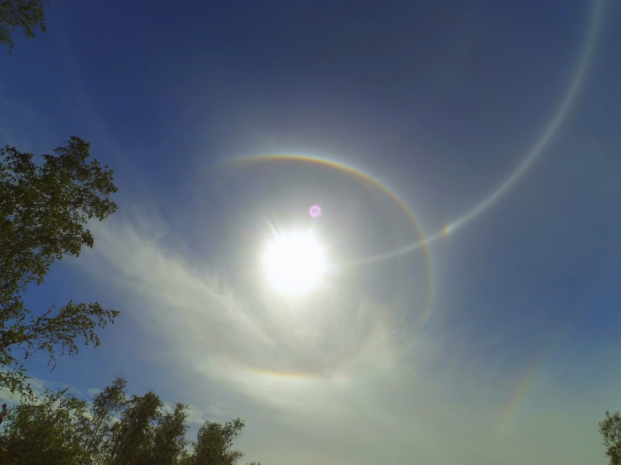 Гало мобильный мессенджер Whatsapp