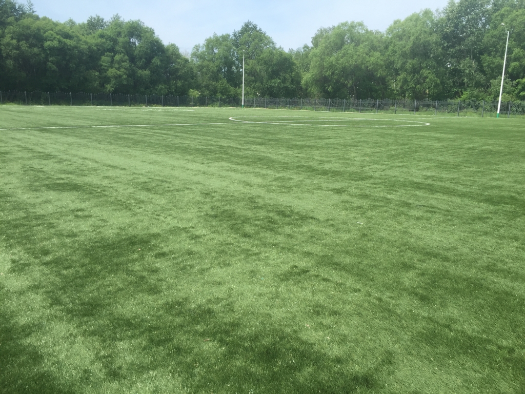 Любителей погонять мяч &quotотфутболил&quot с поля охранник стадиона &quotДружба&quot в Биробиджане народный корреспондент ИА ЕАОMedia