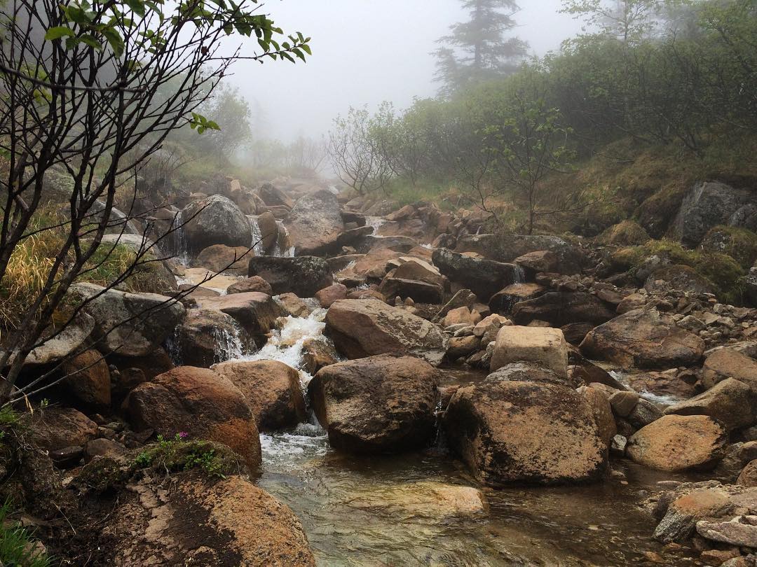 Магадан Юлия Чухломина