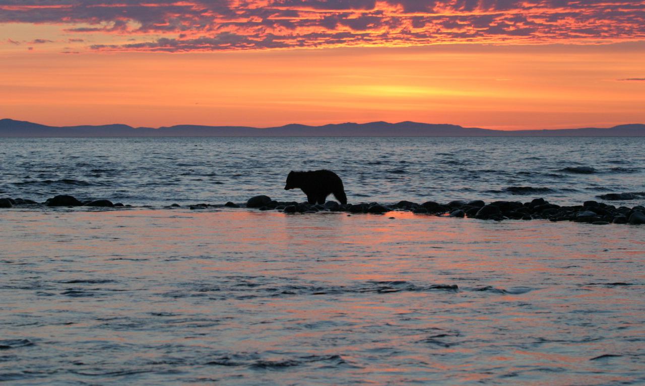 Туристическая Колыма Алексей Беленький
