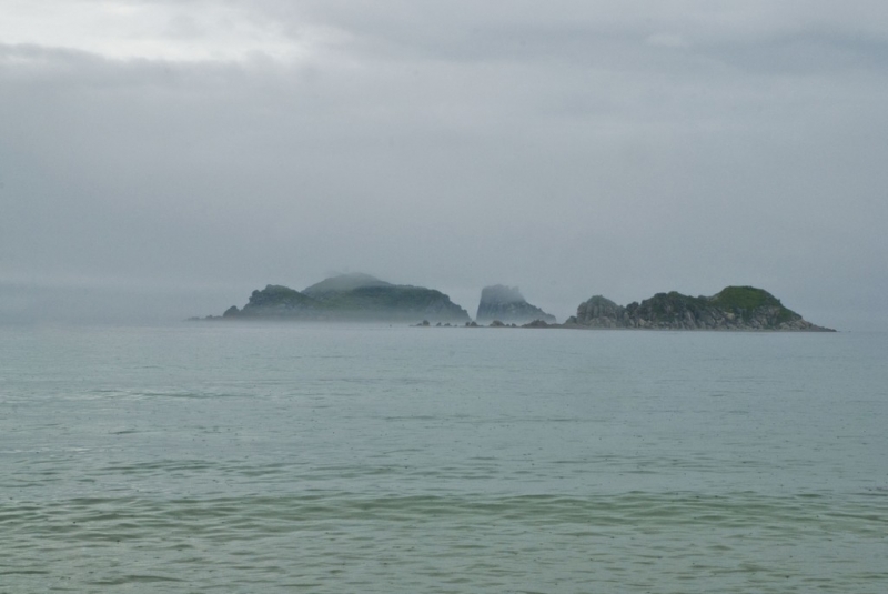 Остров в тумане Ткаченко Ольга, PrimaMedia