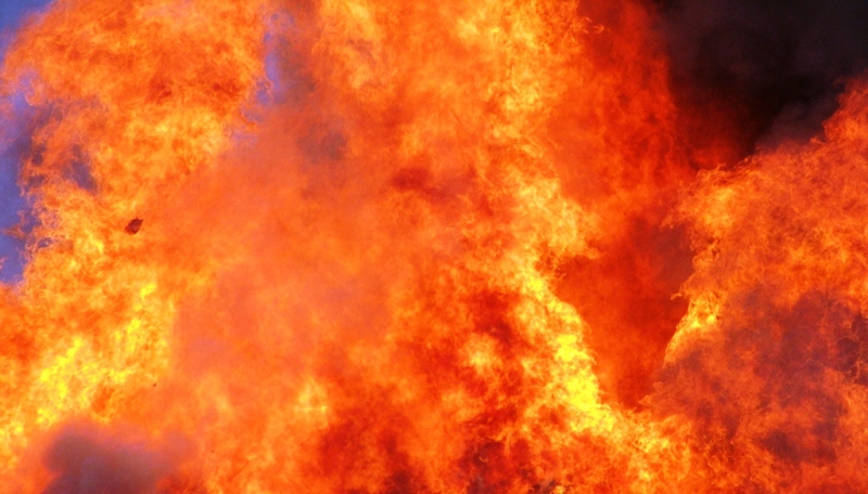 Герой нашего времени: юный житель Кубани вынес из огня сестру, потушил пожар и спас кота Пушкина Юлия, PrimaMedia