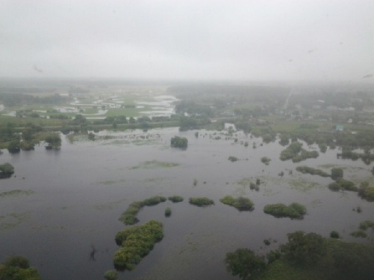 Строительство ГЭС на Амуре оставит ЕАО без части территории – эколог из архива