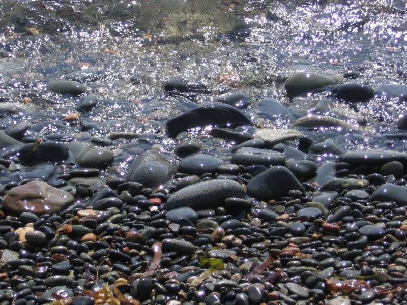 Берег реки Лященко Александр, PrimaMedia