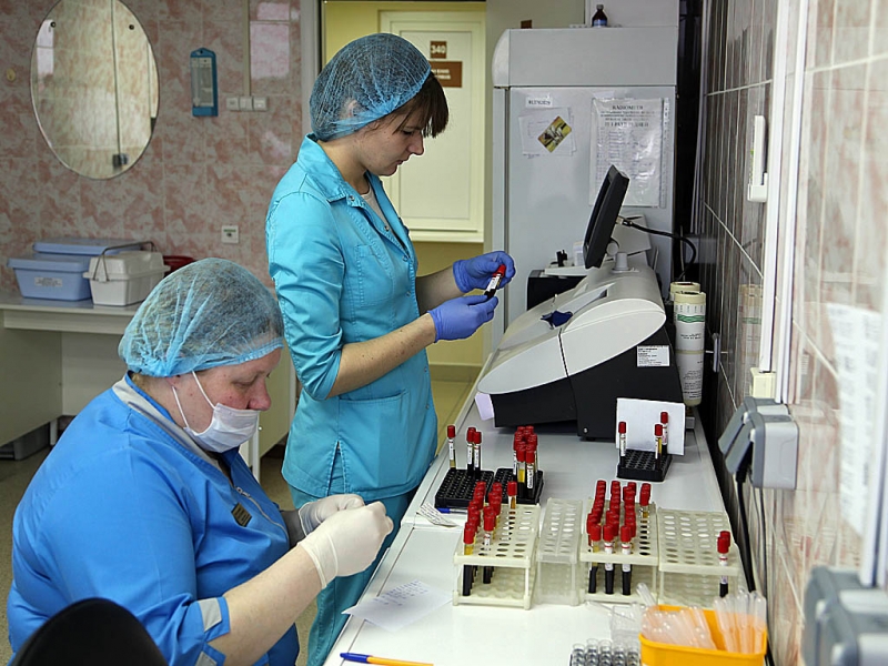 Вспышку сибирской язвы не подтвердили в Роспотребнадзоре PrimaMedia