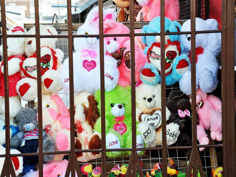 Красивые и опасные: как выбрать безвредную игрушку для ребенка Оленникова Мария, IrkutskMedia