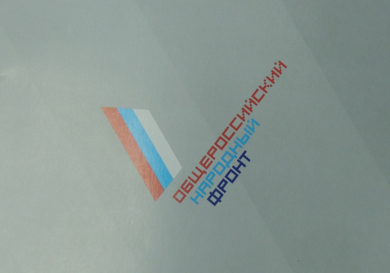 ОНФ Виктор Лучкин 