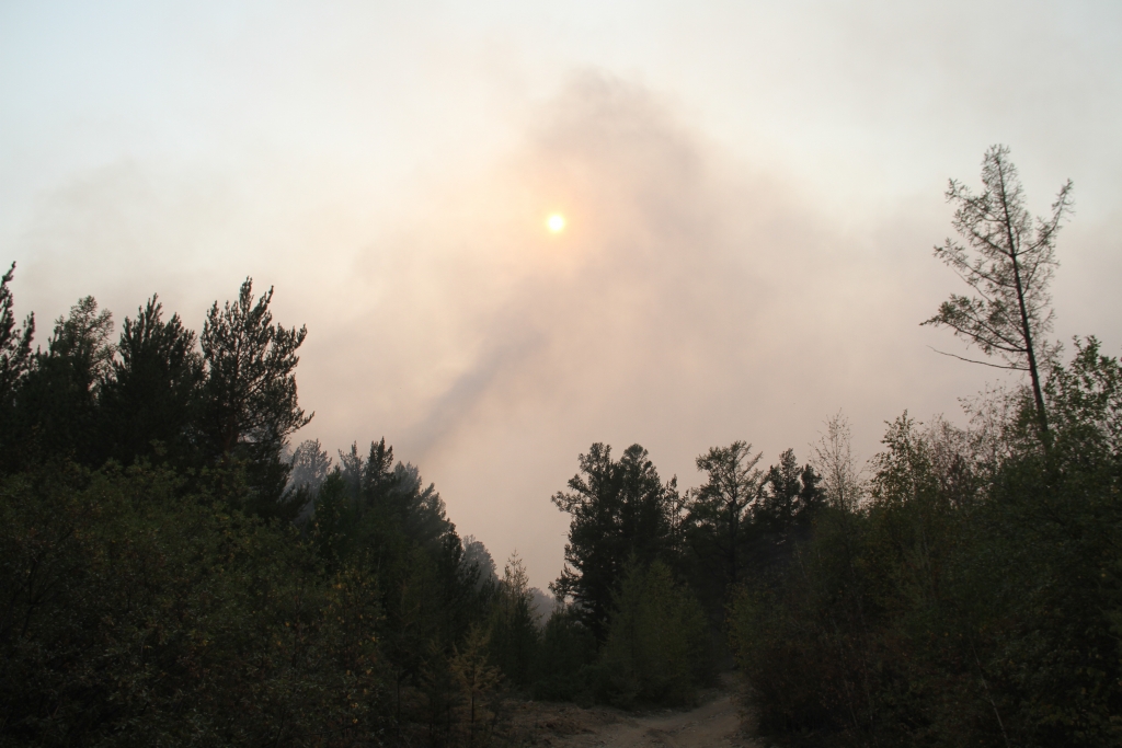 Лесной пожар Пресс-служба ГУ МЧС России по Иркутской области