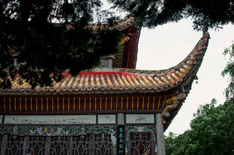 Подорожание виз в КНР бьет по самым молодым хабаровчанам — турфирмы Хабаровска ИА PrimaMedia