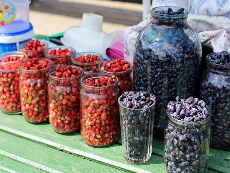 Землянику разрешили собирать в двух районах Якутии  ПримаМедия