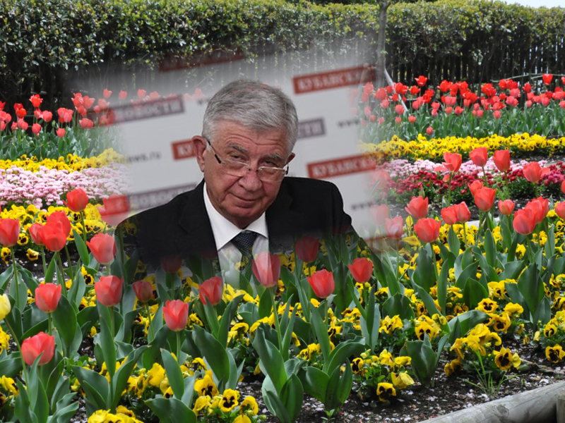 Мэр Краснодара Владимир Евланов &quotкаждый день с болью&quot думает о нехватке денег на цветы ИА KrasnodarMedia