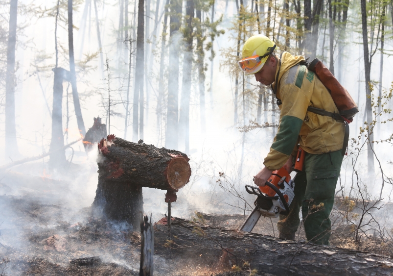 ЧС в двух районах Якутии Фото предоставлено Департаментом по лесным отношениям РС (Я)