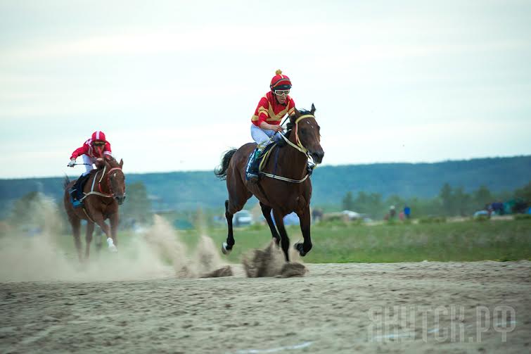 Конные скачки в Якутске  Якутск.РФ
