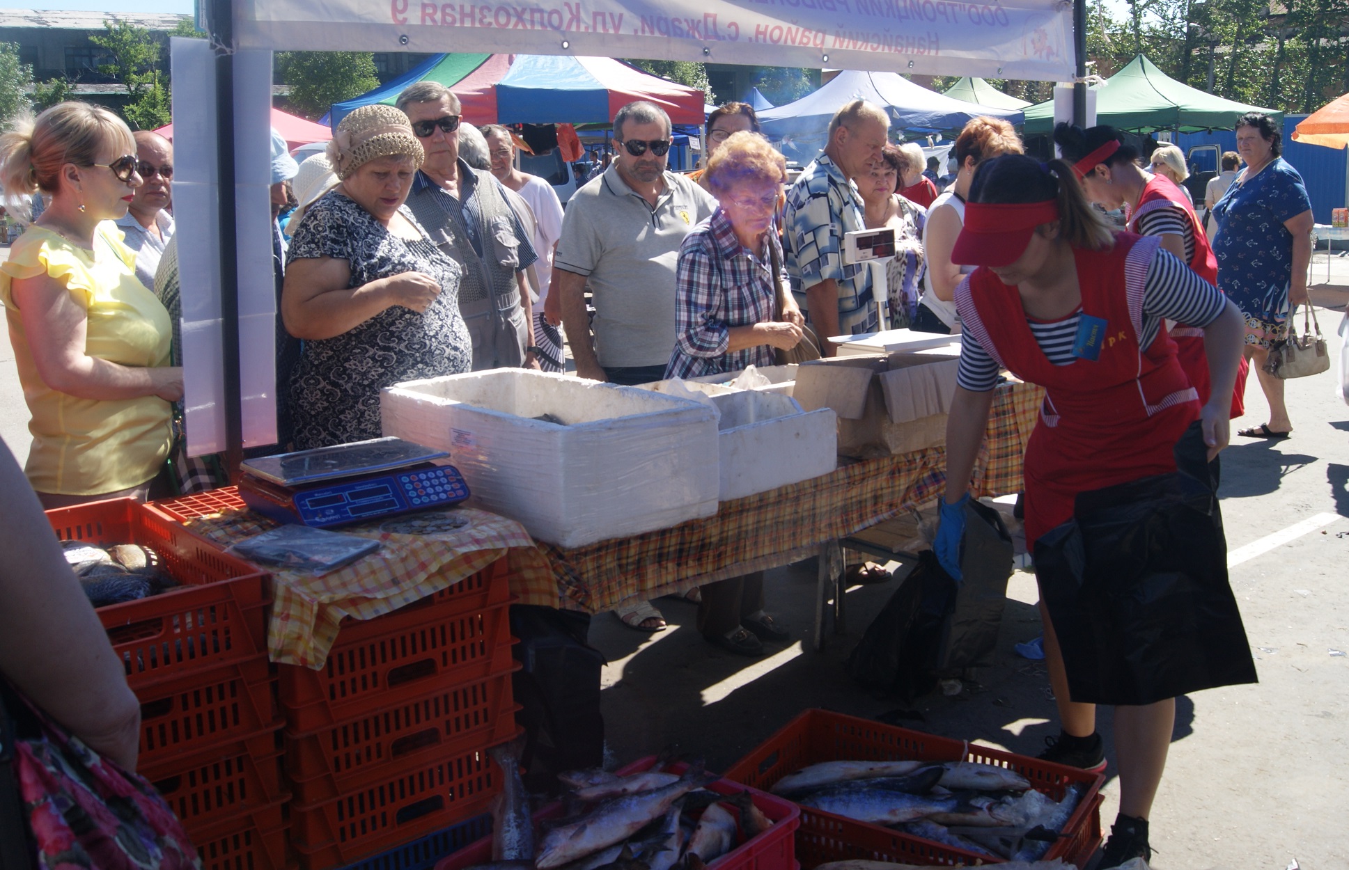 На рыбной ярмарке Корр. ИА AmurMedia