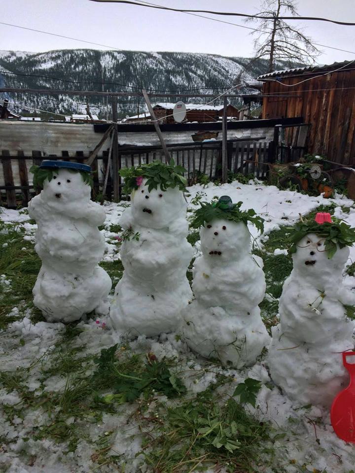 Июльские снеговики из Facebook