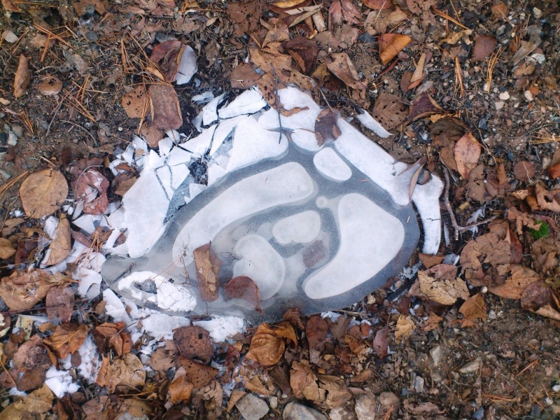 Заморозки в Якутии ПримаМедия