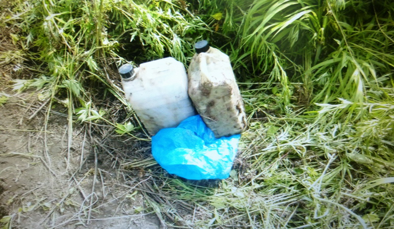 В Ханкайском районе Приморья полицейские уничтожили наркоплантацию Пресс-служба УМВД по Приморскому краю