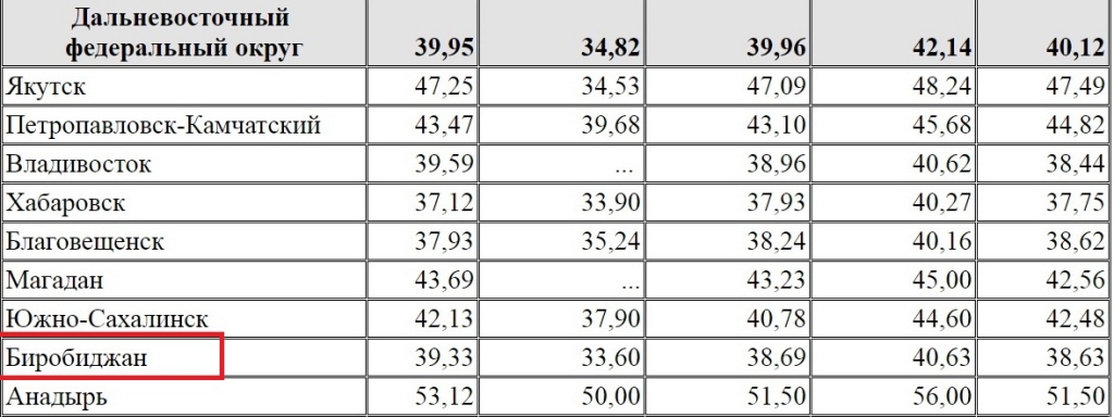 Цена на бензин в Биробиджане – одна из самых высоких в России