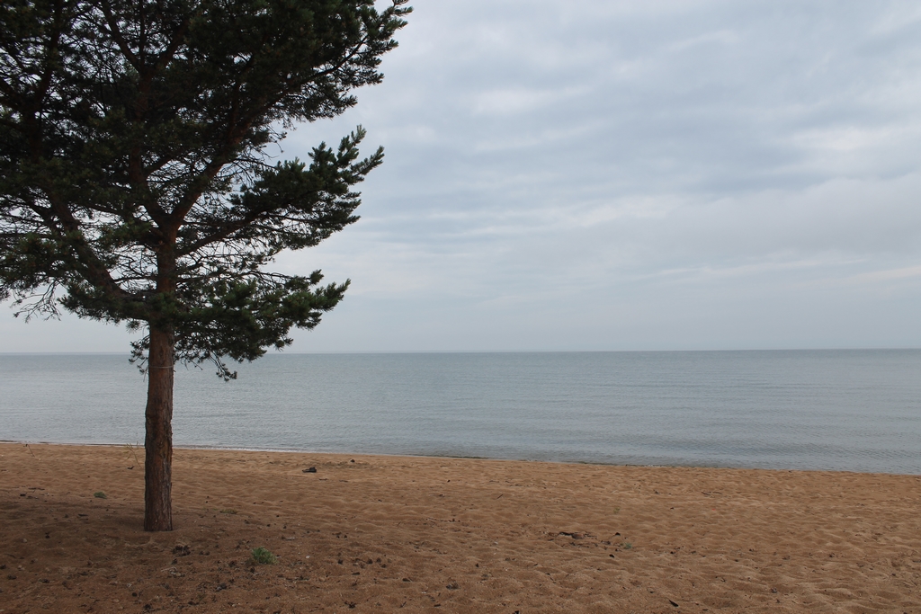 Байкал Василий Тараруев, UlanMedia