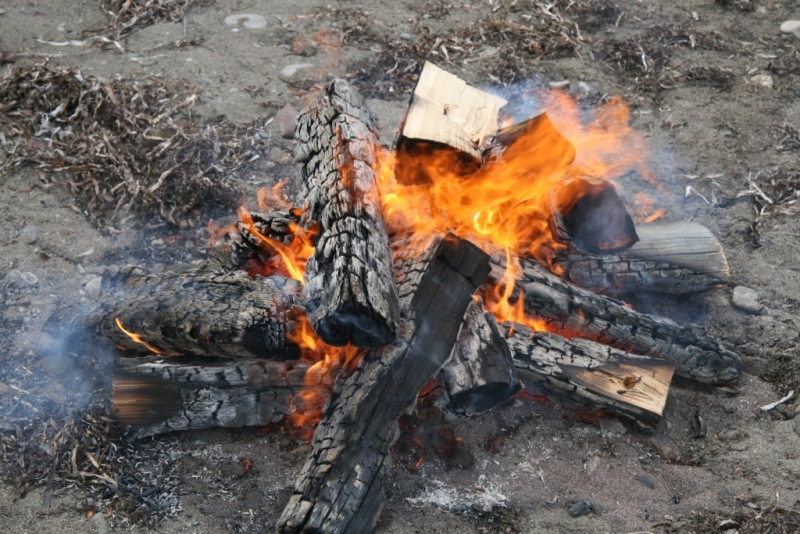 Костер Полищук Евгения, SakhalinMedia