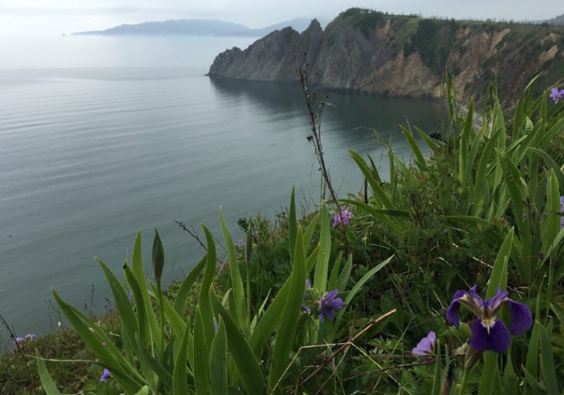 Гектар Юлия Чухломина