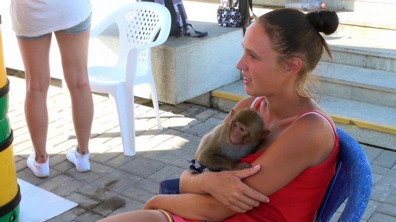 Лишили &quotхлеба&quot: обезьяну и попугая отобрали у уличного фотографа в Сочи Пресс-служба ГУ МВД России по Краснодарскому краю. 