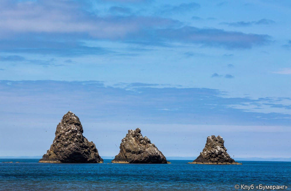 "Западное побережье"