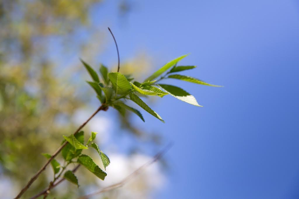 Неустойчивая погода ожидает жителей Бурятии Александра Данилова, UlanMedia