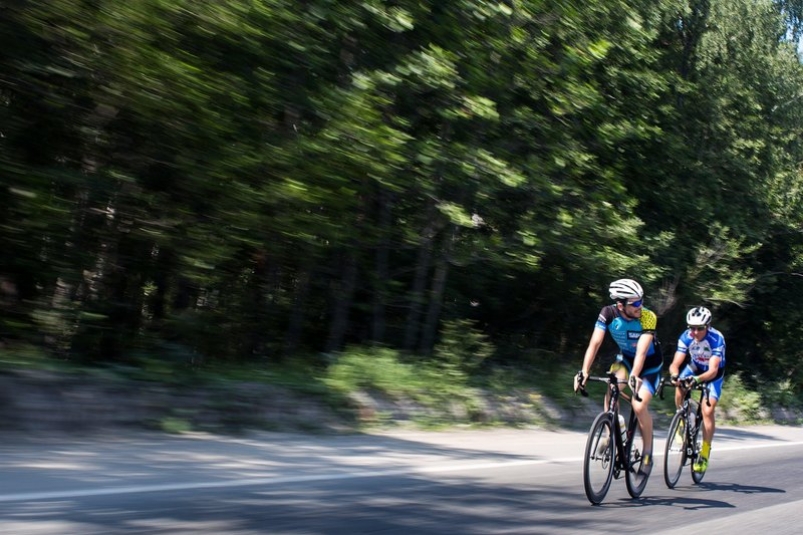 На велогонщика напали собаки Pavel Sukhorukov/Red Bull Content Pool