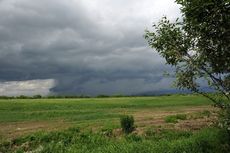 Неустойчивая погода ожидается на этих выходных в Хабаровске Гуршал Юрий, SakhalinMediа