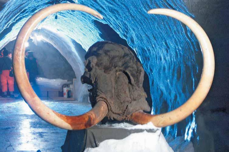 Неделя с YakutiaMedia: Центр мамонта, "прописка" уток на Щорса, эссер поддержит коммуниста