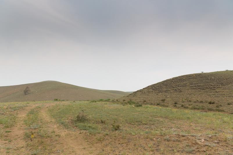 Степи Бурятии Александра Данилова, UlanMedia