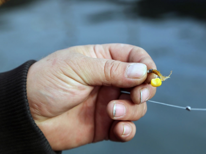 Наживка Оленникова Мария, IrkutskMedia