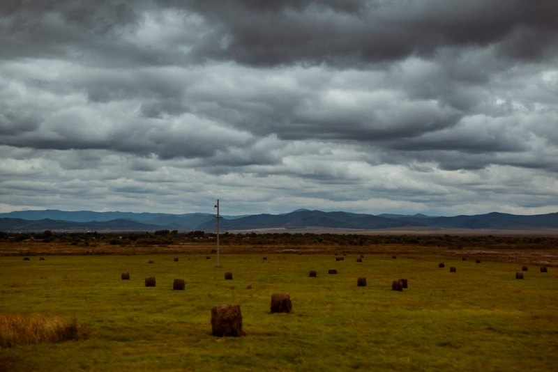 Проливные дожди и низкая температура помешали якутским аграриям заготовить сено Бородина Мария, РИА PrimaMedia