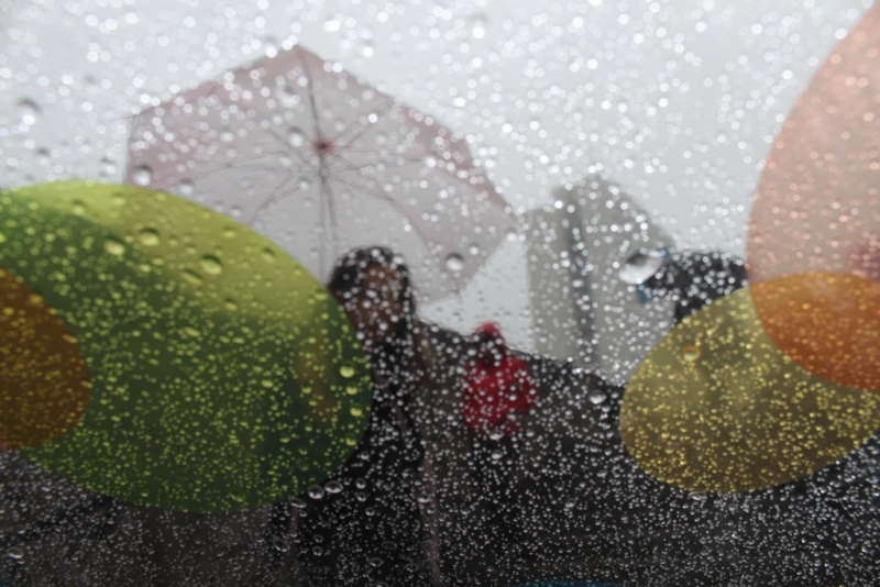 Дождь   Фирцикова Наталья, PrimaMedia