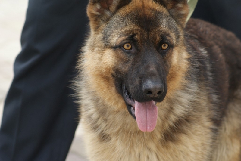 Пока вы спали