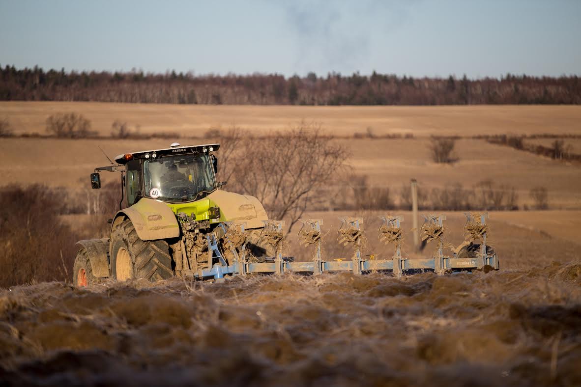 Поле  Пресс-служба правительства Сахалинской области 