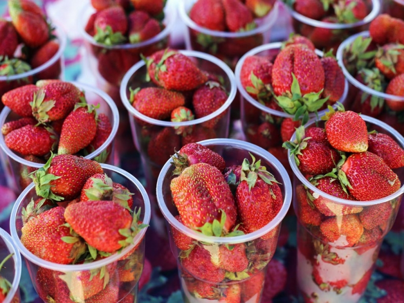 Клубника Оленникова Мария, IrkutskMedia