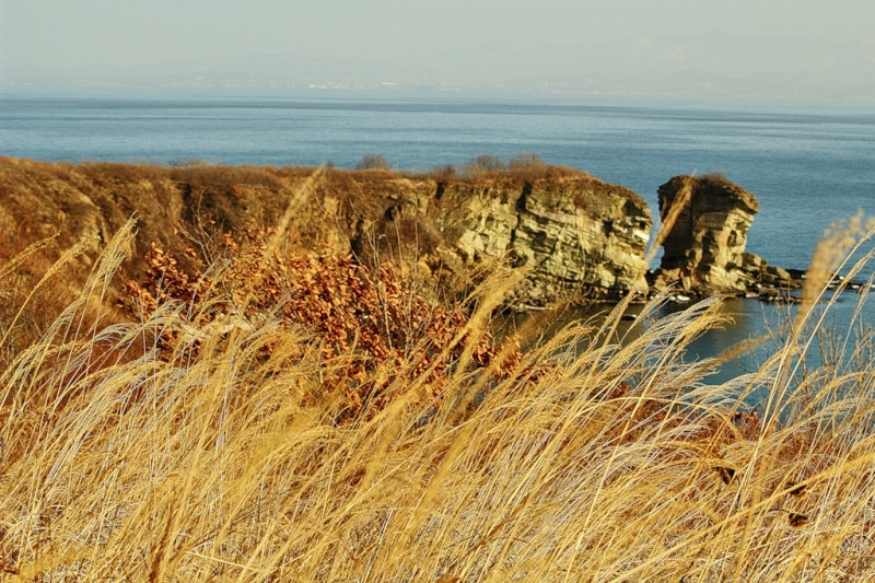 Засуха Балашов Антон, PrimaMedia