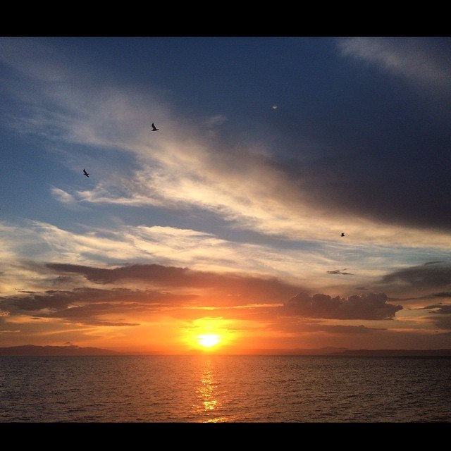 Солнце Юлия Чухломина