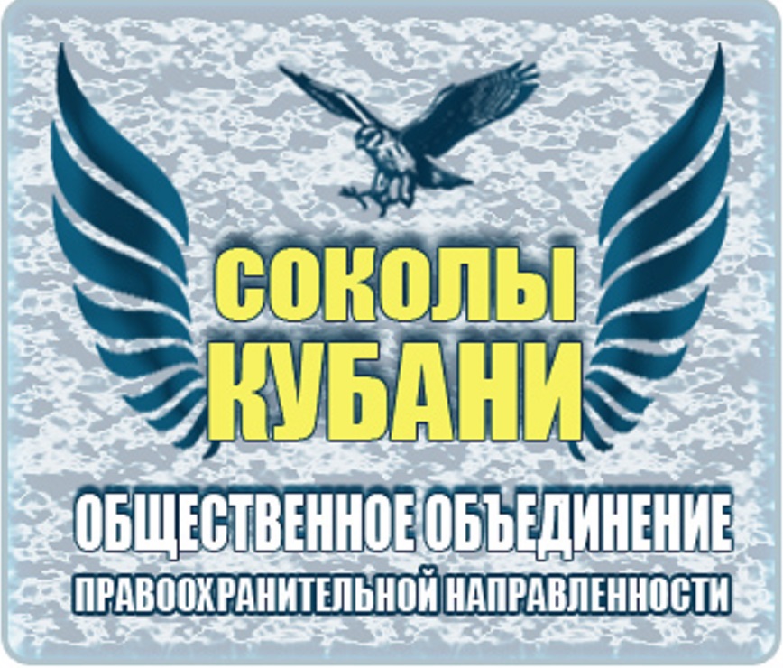 Эмблема Соколов Кубани С сайта Краснодарского регионального отделения ЛДПР
