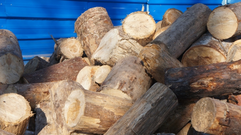 Лесопереработка  Баграновская Наталья, EAOmedia