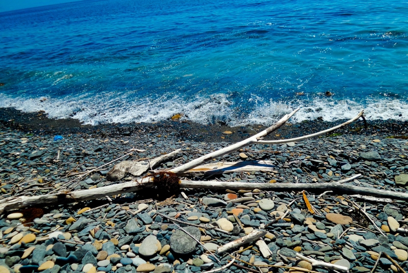 Очистить берега Лященко Александр, PrimaMedia